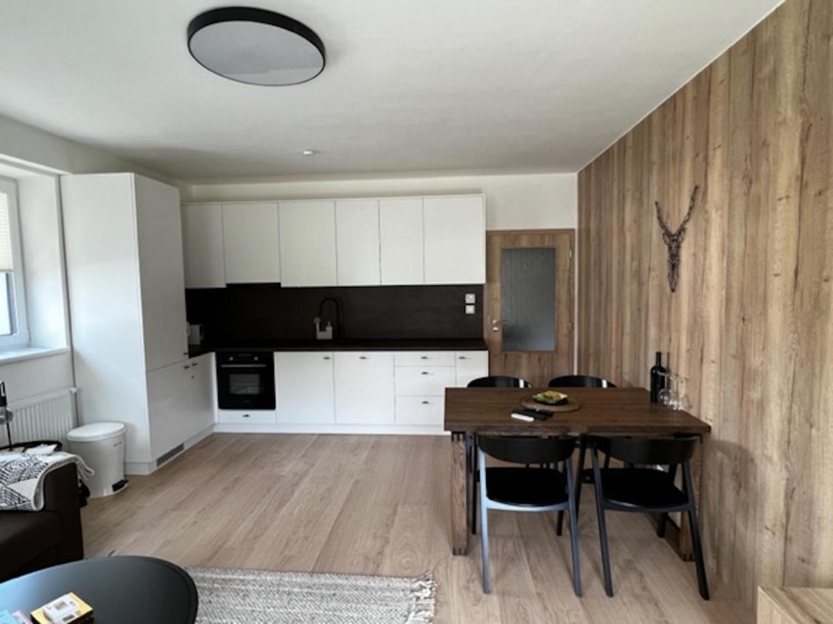 Klinovec Apartments Luxury Лоучна-под-Клиновцем Экстерьер фото